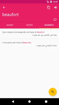 Arabic Italian Dictionary android App screenshot 3